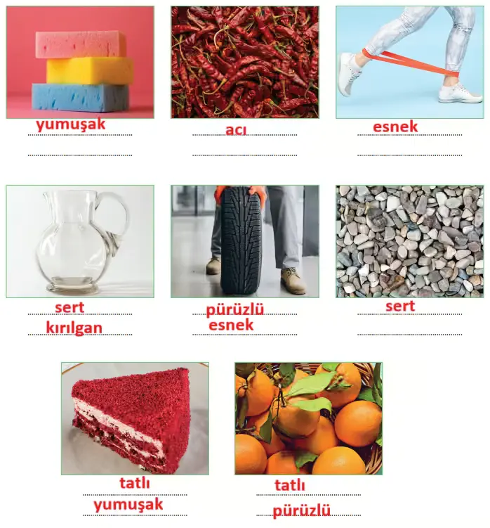 3. Sınıf Fen Bilimleri Ders Kitabı Sayfa 125-126-127-128-129. Cevapları CEM Yayınları