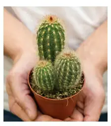 3. Sınıf Fen Bilimleri Ders Kitabı Sayfa 111-114-116-117. Cevapları CEM Yayınları