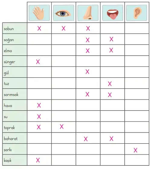 3. Sınıf Fen Bilimleri Ders Kitabı Sayfa 125-126-127-128-129. Cevapları CEM Yayınları 3 3. Sınıf Fen Bilimleri Ders Kitabı Sayfa 127 Cevapları