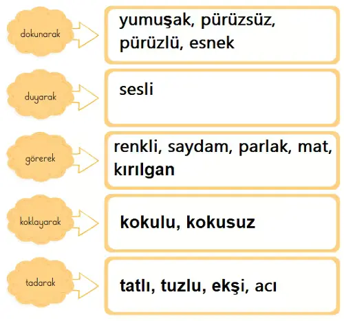 3. Sınıf Fen Bilimleri Ders Kitabı Sayfa 125-126-127-128-129. Cevapları CEM Yayınları 4 3. Sınıf Fen Bilimleri Ders Kitabı Sayfa 128 Cevapları