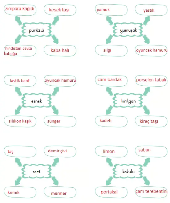 3. Sınıf Fen Bilimleri Ders Kitabı Sayfa 125-126-127-128-129. Cevapları CEM Yayınları 5 3. Sınıf Fen Bilimleri Ders Kitabı Sayfa 129 Cevapları