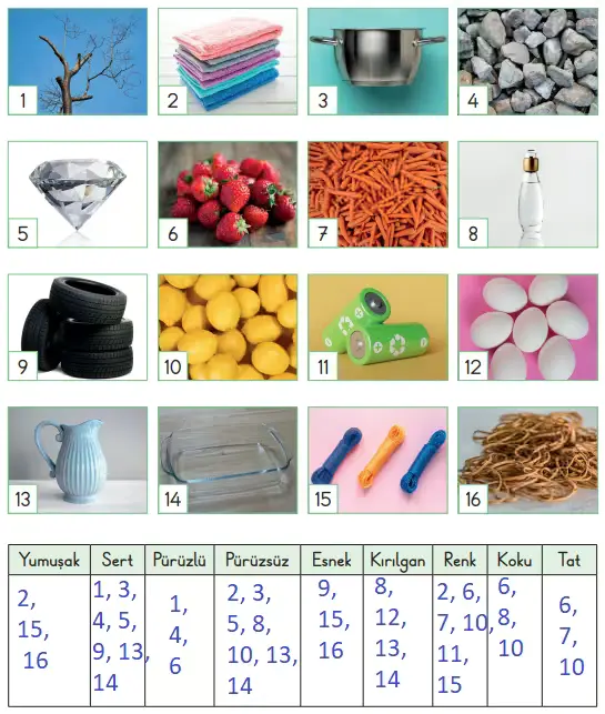 3. Sınıf Fen Bilimleri Ders Kitabı Sayfa 130-131-132-133-134. Cevapları CEM Yayınları 4 3. Sınıf Fen Bilimleri Ders Kitabı Sayfa 133 Cevapları