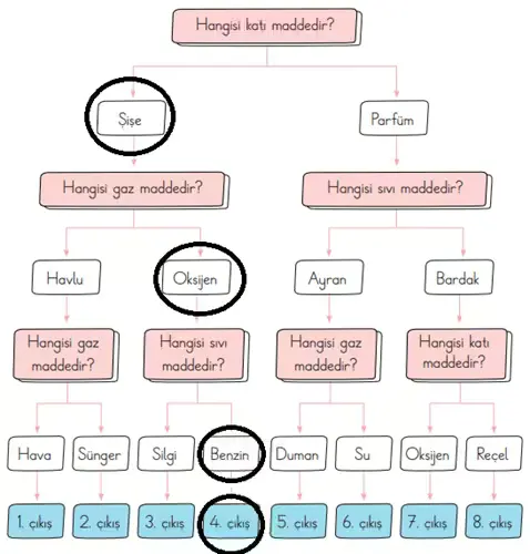 3. Sınıf Fen Bilimleri Ders Kitabı Sayfa 130-131-132-133-134. Cevapları CEM Yayınları 5 3. Sınıf Fen Bilimleri Ders Kitabı Sayfa 134 Cevapları