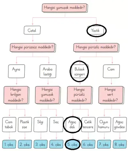 3. Sınıf Fen Bilimleri Ders Kitabı Sayfa 135-136-137-138-139. Cevapları CEM Yayınları