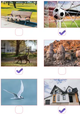 3. Sınıf Fen Bilimleri Ders Kitabı Sayfa 89-90-91-92-93-94-95. Cevapları CEM Yayınları