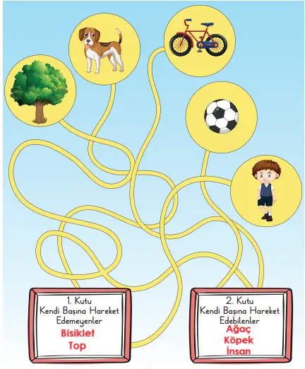 3. Sınıf Fen Bilimleri Ders Kitabı Sayfa 91 Cevapları