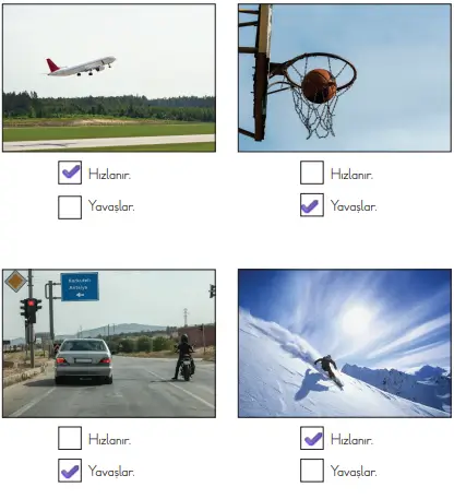 3. Sınıf Fen Bilimleri Ders Kitabı Sayfa 95 Cevapları
