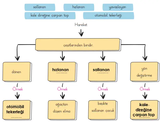 3. Sınıf Fen Bilimleri Ders Kitabı Sayfa 96-97-98-99-100-101. Cevapları CEM Yayınları