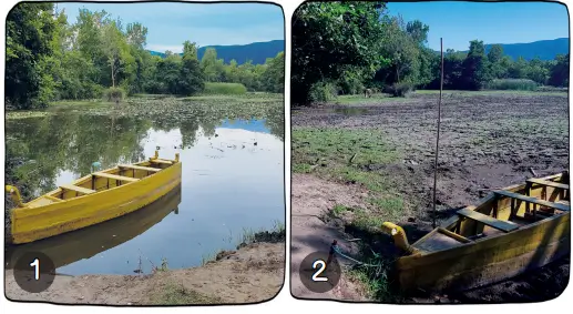 3. Sınıf Hayat Bilgisi Ders Kitabı Sayfa 91-93-94. Cevapları MEB Yayınları