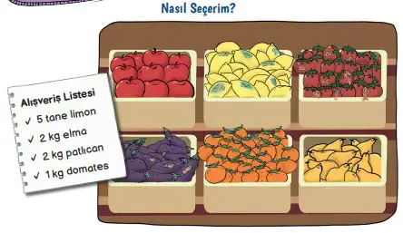 3. Sınıf Hayat Bilgisi Ders Kitabı Sayfa 95-97-98. Cevapları MEB Yayınları