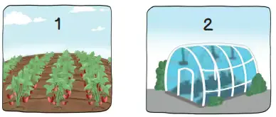 3. Sınıf Hayat Bilgisi Ders Kitabı Sayfa 99-101-102. Cevapları MEB Yayınları