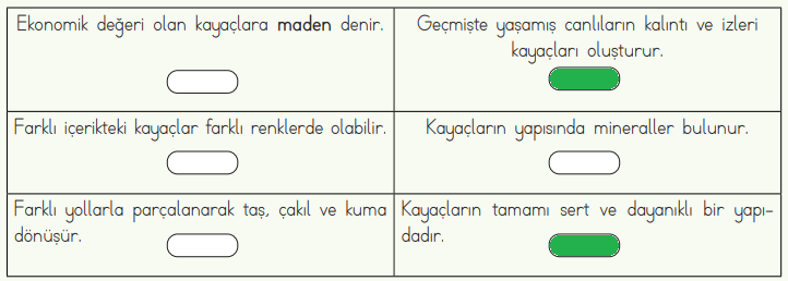 4. Sınıf Fen Bilimleri Ders Kitabı Sayfa 38-39-40-41-42-43 Cevapları MEB Yayınları 15 4. Sınıf Fen Bilimleri Ders Kitabı Sayfa 41 Cevapları