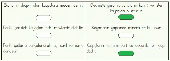 4. Sınıf Fen Bilimleri Ders Kitabı Sayfa 38-39-40-41-42-43 Cevapları MEB Yayınları 5 4. Sınıf Fen Bilimleri Ders Kitabı Sayfa 41 Cevapları