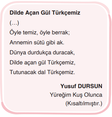 4. Sınıf Türkçe Ders Kitabı Sayfa 114-116-117-118-119-120. Cevapları ADA Yayınları 10 4. Sınıf Türkçe Ders Kitabı Sayfa 119 Cevapları ADA Yayınları