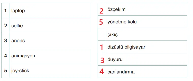 4. Sınıf Türkçe Ders Kitabı Sayfa 146 Cevapları ADA Yayınları