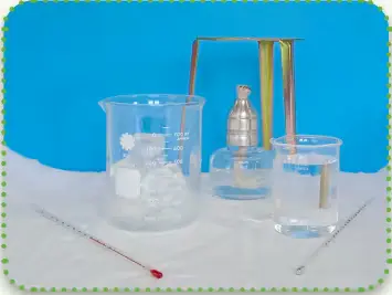 4. Sınıf Fen Bilimleri Ders Kitabı Sayfa 116 Cevapları