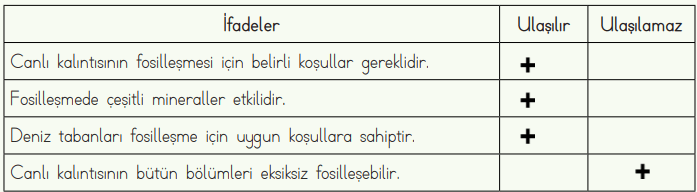 4. Sınıf Fen Bilimleri Ders Kitabı Sayfa 38-39-40-41-42-43 Cevapları MEB Yayınları 17 4. Sınıf Fen Bilimleri Ders Kitabı Sayfa 42 Cevapları