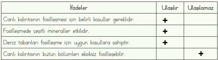 4. Sınıf Fen Bilimleri Ders Kitabı Sayfa 38-39-40-41-42-43 Cevapları MEB Yayınları 7 4. Sınıf Fen Bilimleri Ders Kitabı Sayfa 42 Cevapları