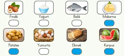4. Sınıf Fen Bilimleri Ders Kitabı Sayfa 70 Cevapları MEB Yayınları