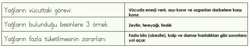 4. Sınıf Fen Bilimleri Ders Kitabı Sayfa 71 Cevapları MEB Yayınları