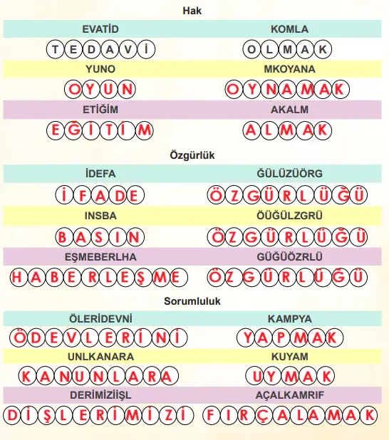 4. Sınıf İnsan Hakları Ders Kitabı Sayfa 30. Cevapları
