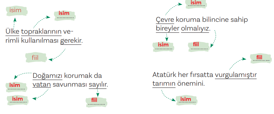 5. Sınıf Türkçe Ders Kitabı Sayfa 115 Cevapları