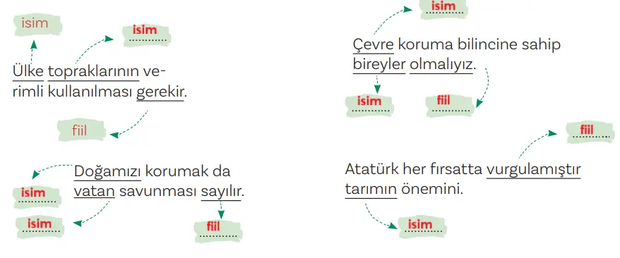 5. Sınıf Türkçe Ders Kitabı Sayfa 115 Cevapları