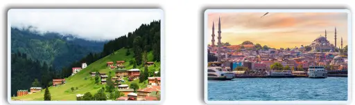 5.Sınıf Türkçe Ders Kitabı Sayfa 116 Cevapları