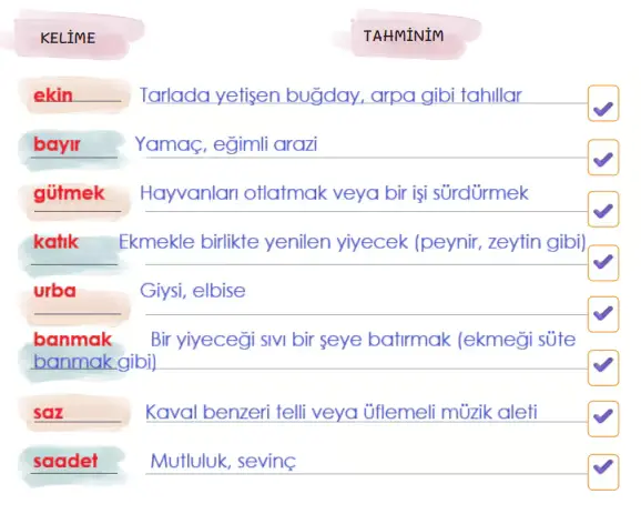 5. Sınıf Türkçe Ders Kitabı Sayfa 149-150-151-152-153. Cevapları 1. Kitap