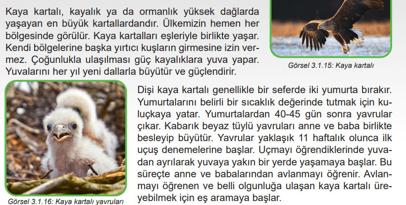 6. Sınıf Fen Bilimleri Ders Kitabı Sayfa 102 Cevapları Birinci Kitap