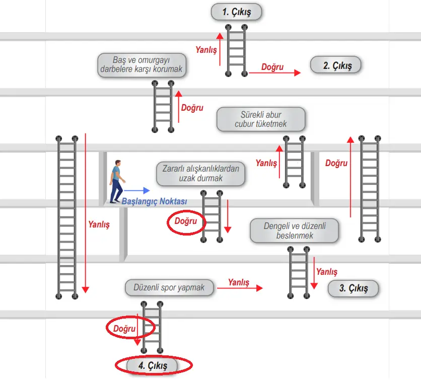 6. Sınıf Fen Bilimleri Ders Kitabı Sayfa 125-126-127. Cevapları 1. Kitap