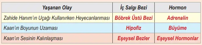 6. Sınıf Fen Bilimleri Ders Kitabı Sayfa 127 Cevapları Birinci Kitap