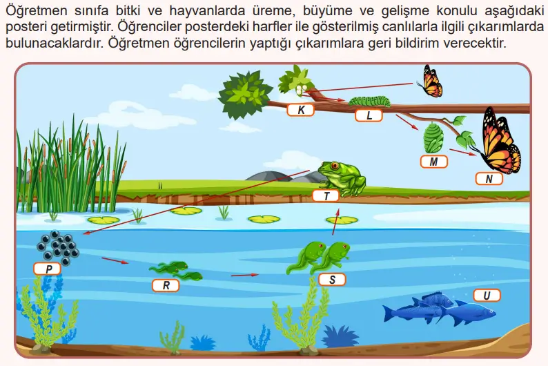 6. Sınıf Fen Bilimleri Ders Kitabı Sayfa 131 Cevapları Birinci Kitap