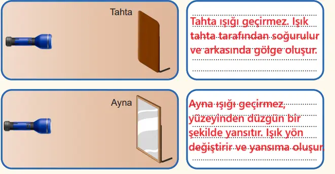 6. Sınıf Fen Bilimleri Ders Kitabı Sayfa 134 Cevapları Birinci Kitap