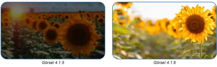 6. Sınıf Fen Bilimleri Ders Kitabı Sayfa 141-142-144-145. Cevapları 1. Kitap