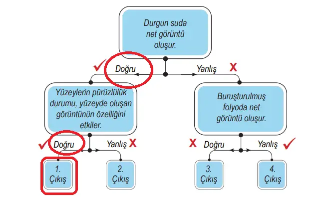 6. Sınıf Fen Bilimleri Ders Kitabı Sayfa 142 Cevapları Birinci Kitap