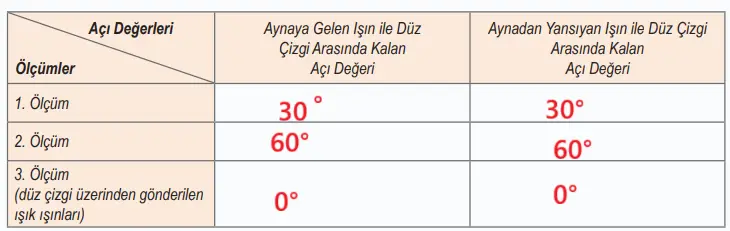 6. Sınıf Fen Bilimleri Ders Kitabı Sayfa 146-147-148-150-151. Cevapları 1. Kitap 10 6. Sınıf Fen Bilimleri Ders Kitabı Sayfa 147 Cevapları Birinci Kitap