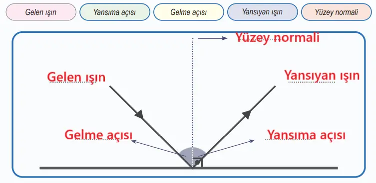 6. Sınıf Fen Bilimleri Ders Kitabı Sayfa 146-147-148-150-151. Cevapları 1. Kitap 12 6. Sınıf Fen Bilimleri Ders Kitabı Sayfa 148 Cevapları Birinci Kitap