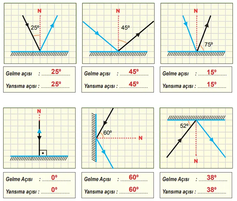 6. Sınıf Fen Bilimleri Ders Kitabı Sayfa 146-147-148-150-151. Cevapları 1. Kitap 15 6. Sınıf Fen Bilimleri Ders Kitabı Sayfa 150 Cevapları Birinci Kitap