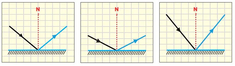 6. Sınıf Fen Bilimleri Ders Kitabı Sayfa 146-147-148-150-151. Cevapları 1. Kitap 14 6. Sınıf Fen Bilimleri Ders Kitabı Sayfa 150 Cevapları Birinci Kitap