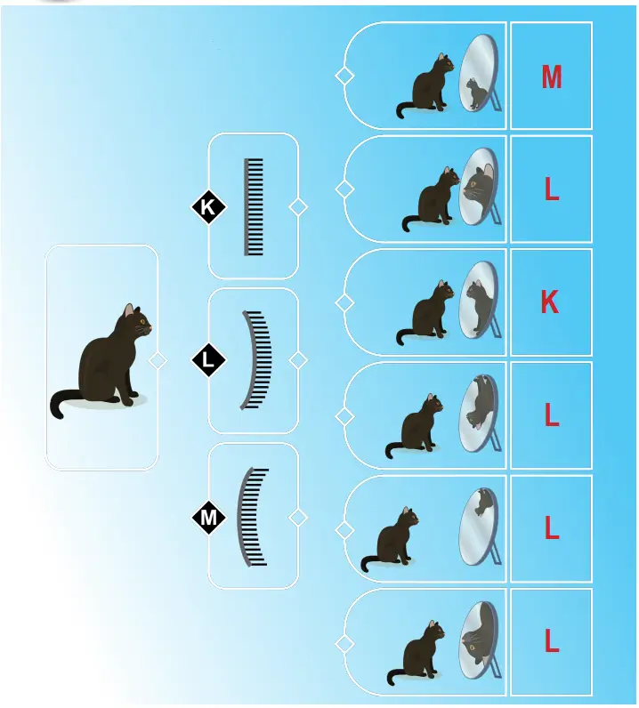 6. Sınıf Fen Bilimleri Ders Kitabı Sayfa 153-154-155-156-159-160-161. Cevapları 1. Kitap 8 6. Sınıf Fen Bilimleri Ders Kitabı Sayfa 160 Cevapları Birinci Kitap