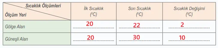 6. Sınıf Fen Bilimleri Ders Kitabı Sayfa 164 Cevapları Birinci Kitap