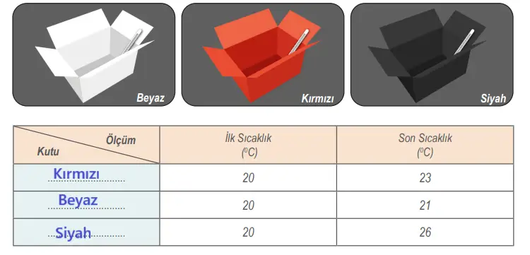 6. Sınıf Fen Bilimleri Ders Kitabı Sayfa 166 Cevapları Birinci Kitap