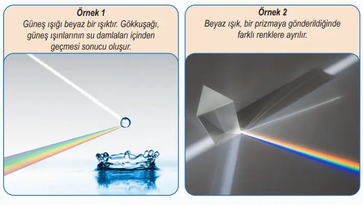 6. Sınıf Fen Bilimleri Ders Kitabı Sayfa 167-168-169-170-171. Cevapları 1. Kitap