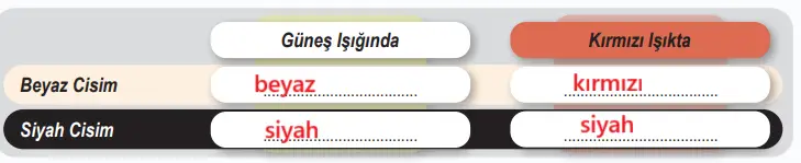 6. Sınıf Fen Bilimleri Ders Kitabı Sayfa 170 Cevapları Birinci Kitap