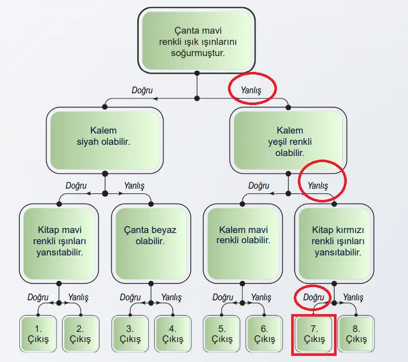 6. Sınıf Fen Bilimleri Ders Kitabı Sayfa 173-174-175-177. Cevapları 1. Kitap 2 6. Sınıf Fen Bilimleri Ders Kitabı Sayfa 173 Cevapları Birinci Kitap