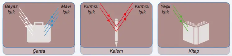 6. Sınıf Fen Bilimleri Ders Kitabı Sayfa 173-174-175-177. Cevapları 1. Kitap