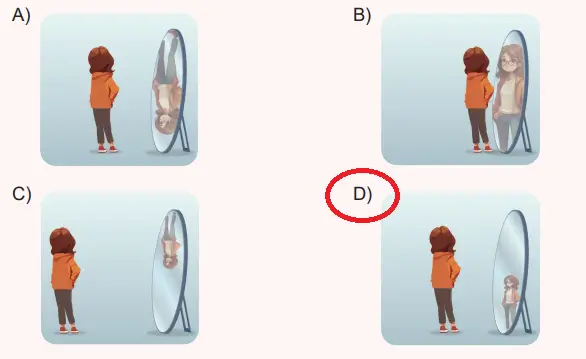 6. Sınıf Fen Bilimleri Ders Kitabı Sayfa 181 Cevapları Birinci Kitap