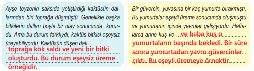 6. Sınıf Fen Bilimleri Ders Kitabı Sayfa 83-85-86. Cevapları 1. Kitap