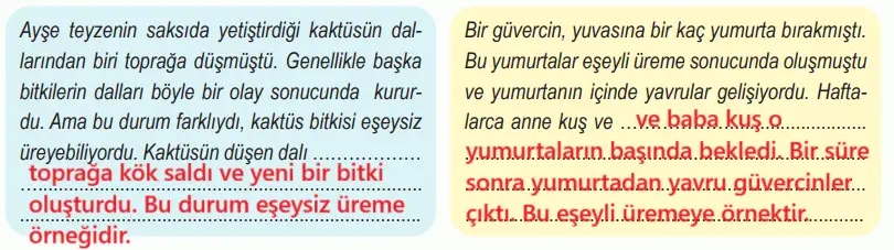 6. Sınıf Fen Bilimleri Ders Kitabı Sayfa 83-85-86. Cevapları 1. Kitap